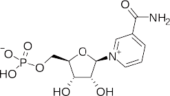 NMM（ニコチンアミドモノヌクレオチド）