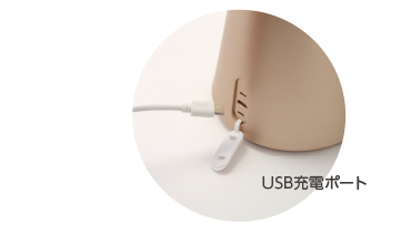 USBポートに接続簡単充電